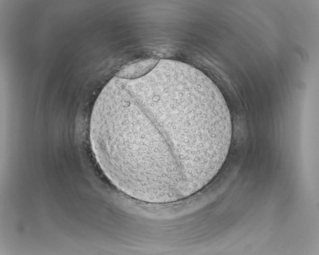 X0000110860030200907301401