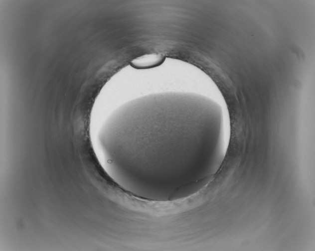 X0000110860031200907301401