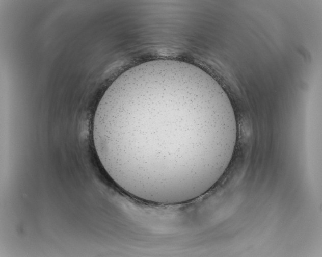 X0000110860032200907301401