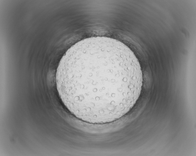 X0000110860034200907301401