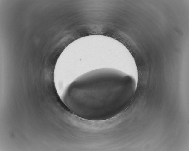 X0000110860035200907301401