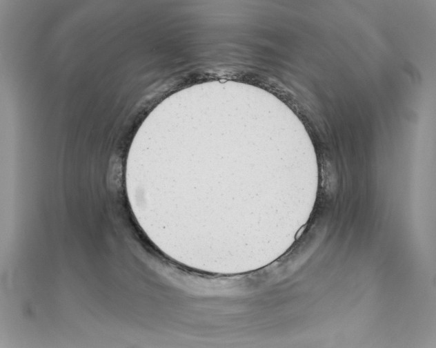 X0000110860036200907301401