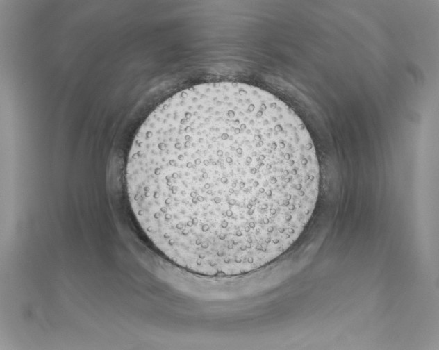X0000110860038200907301401