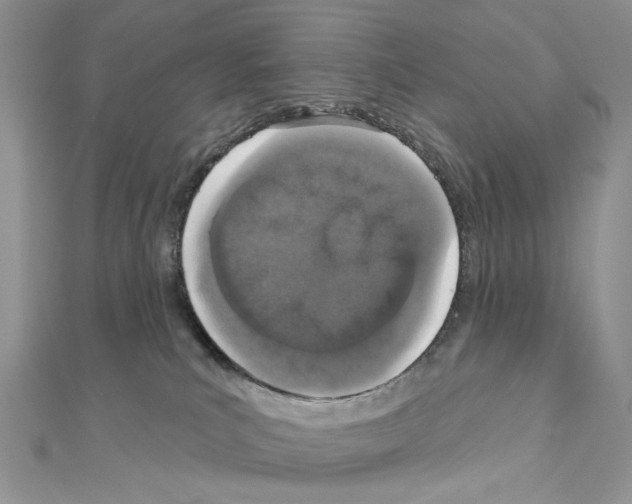 X0000110860039200907301401