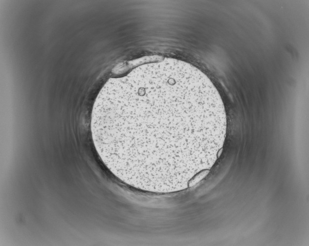 X0000110860040200907301401