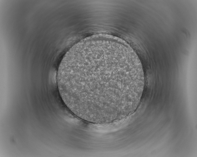 X0000110860041200907301401