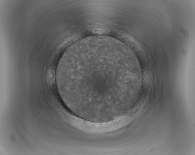 X0000110860043200907301401