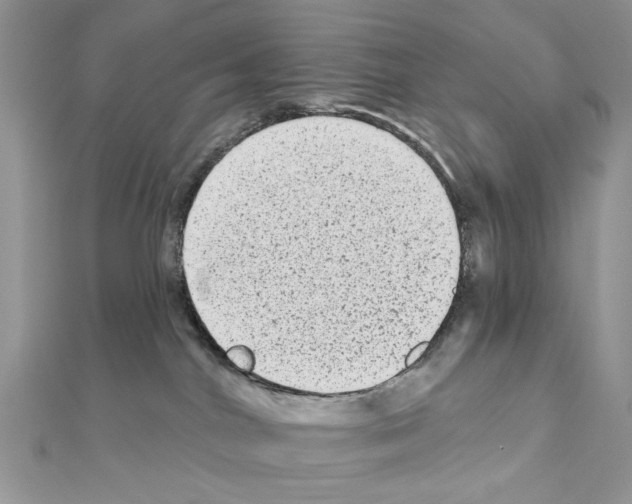 X0000110860044200907301401