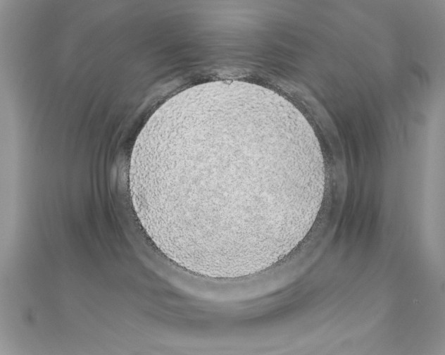 X0000110860046200907301401
