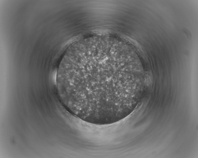 X0000110860047200907301401