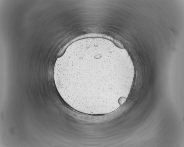 X0000110860048200907301401