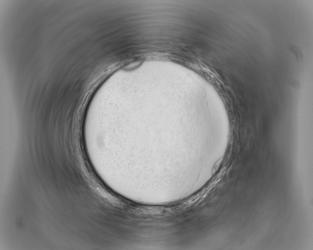 X0000110860049200907301400