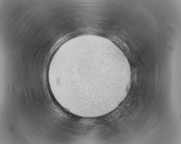 X0000110860051200907301400