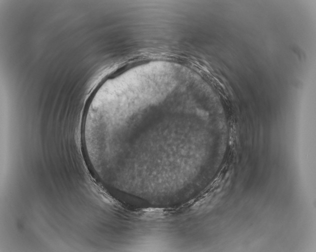 X0000110860052200907301400