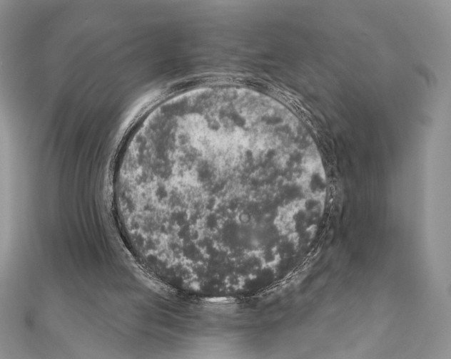 X0000110860053200907301400