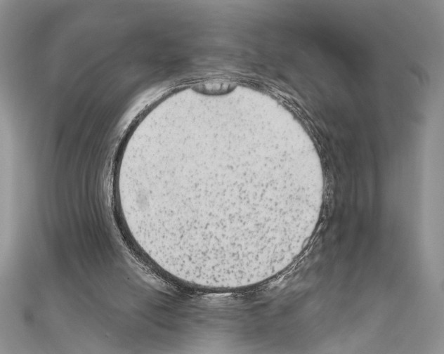 X0000110860054200907301400