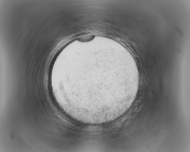 X0000110860055200907301400
