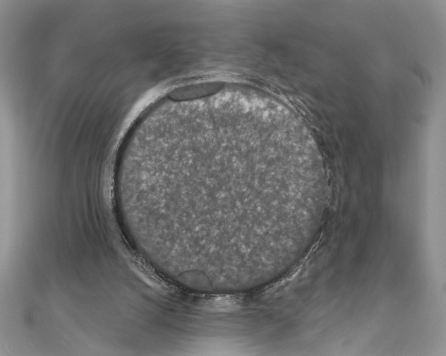 X0000110860056200907301400