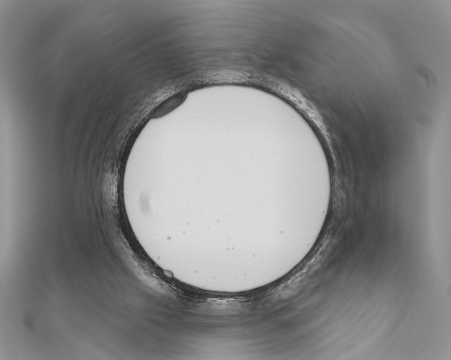 X0000110860057200907301400