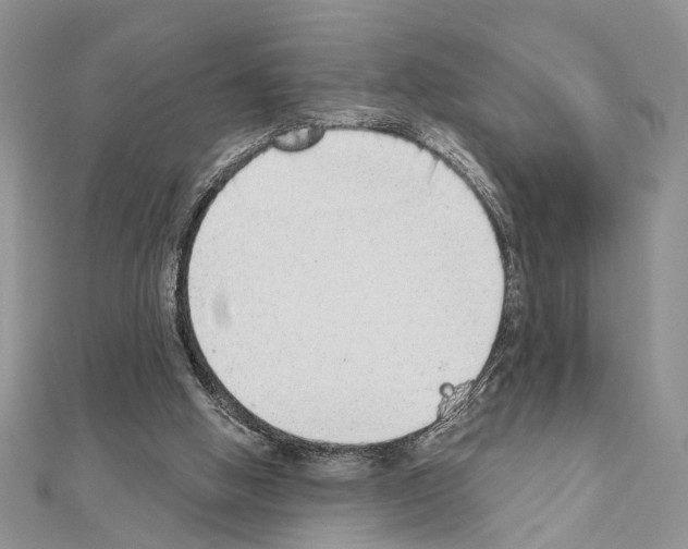 X0000110860058200907301400