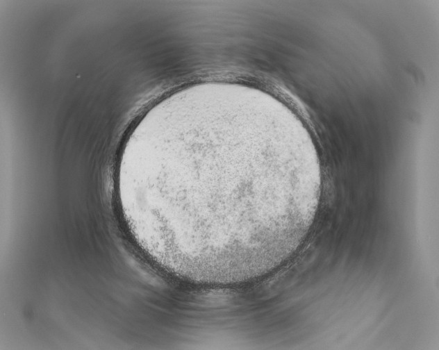 X0000110860059200907301400