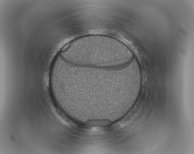 X0000110860060200907301400