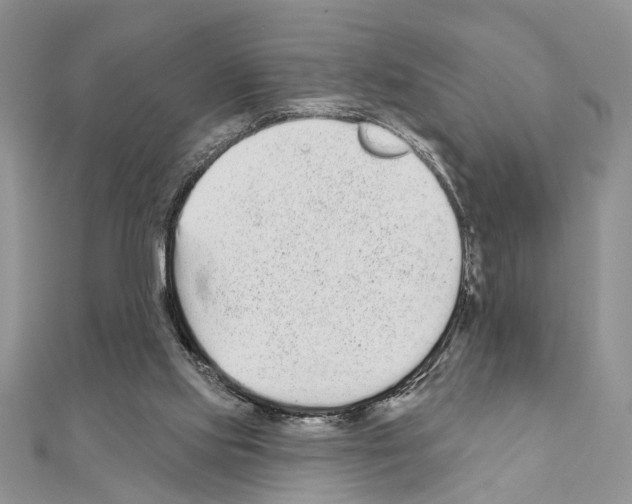 X0000110860061200907301400