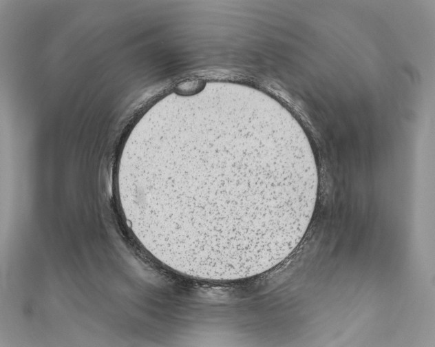 X0000110860062200907301400