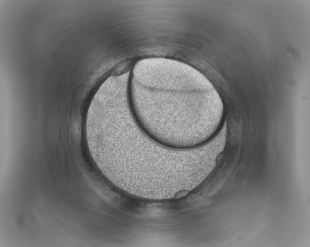 X0000110860064200907301400
