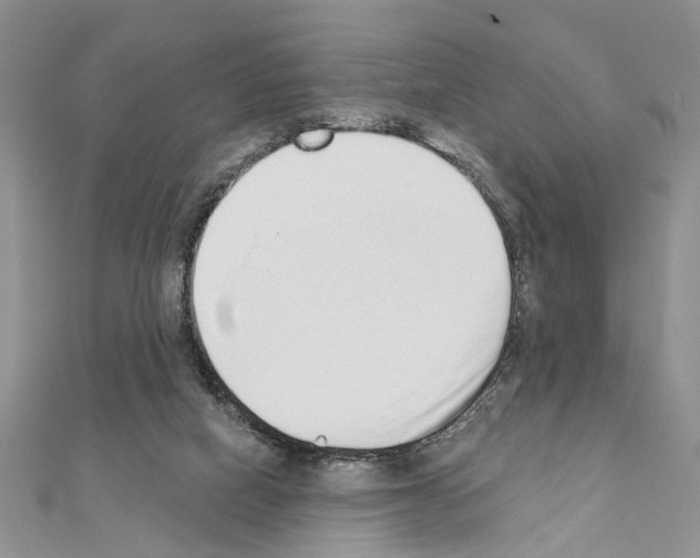 X0000110860066200907301400
