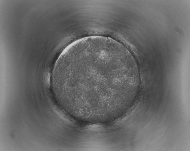 X0000110860067200907301400
