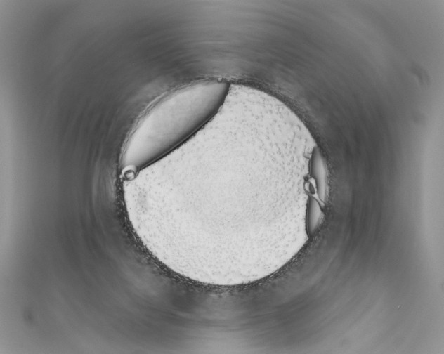 X0000110860068200907301400