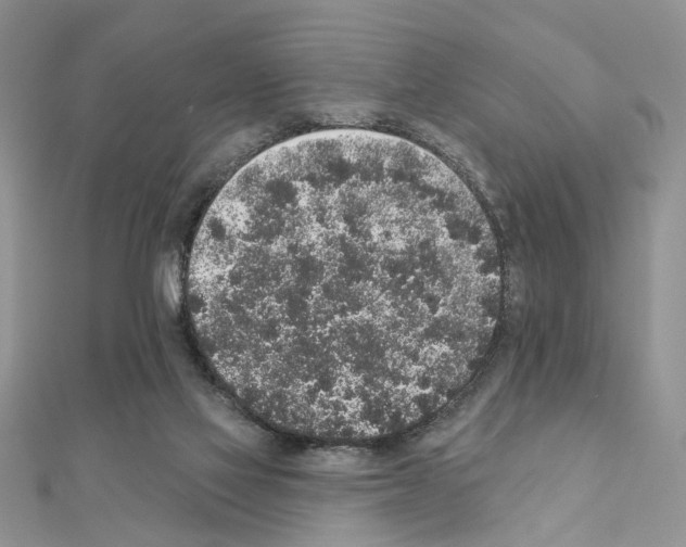 X0000110860069200907301400