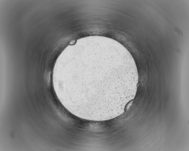 X0000110860070200907301400