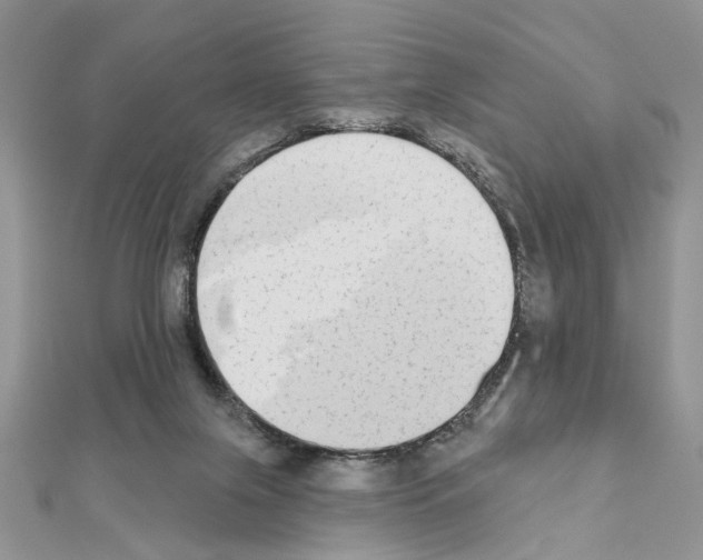 X0000110860071200907301400