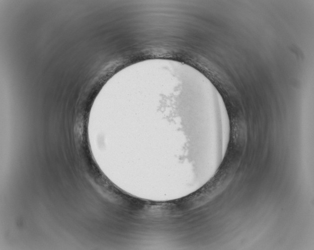 X0000110860072200907301400