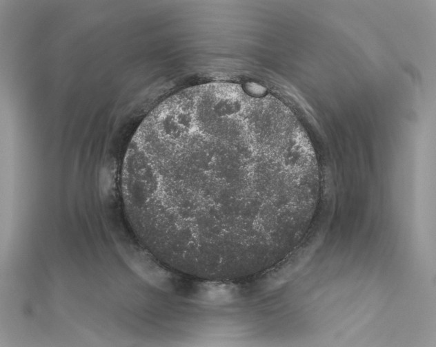 X0000110860073200907301400