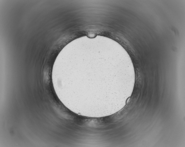 X0000110860074200907301400