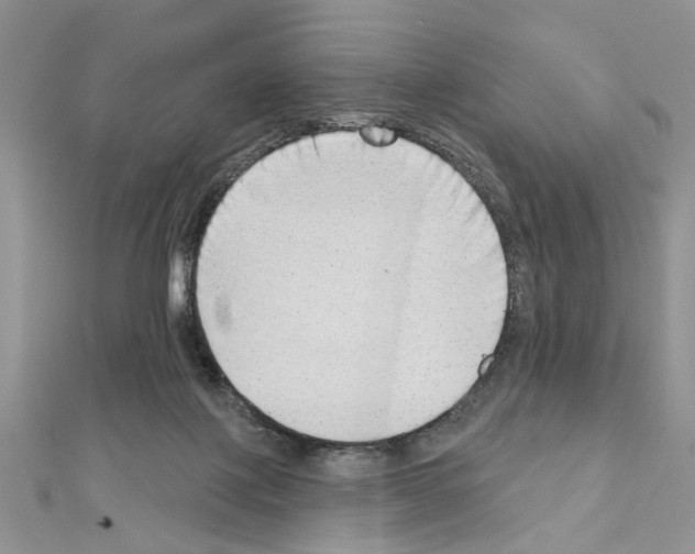X0000110860075200907301400