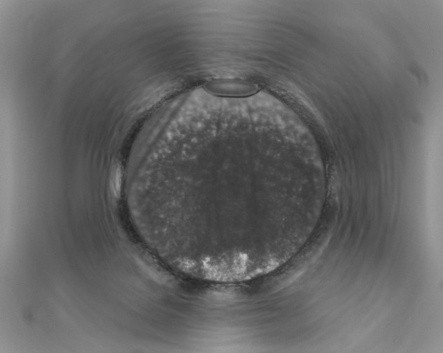 X0000110860076200907301400