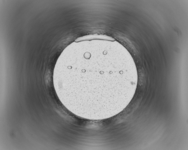X0000110860077200907301400