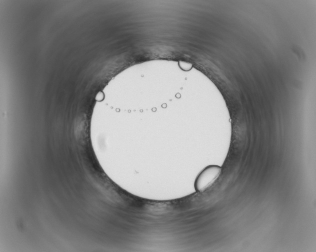 X0000110860079200907301400