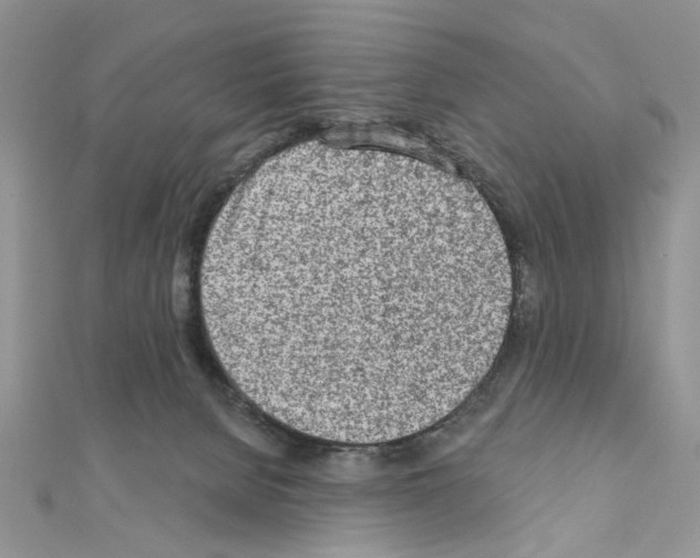 X0000110860080200907301400