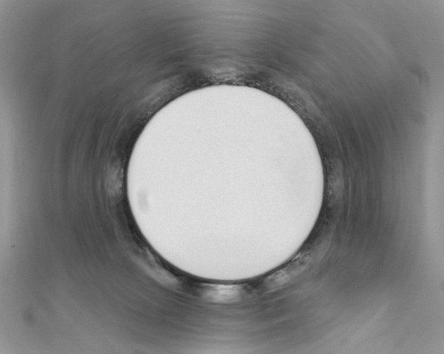 X0000110860081200907301400