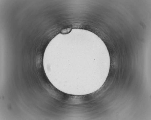 X0000110860082200907301400