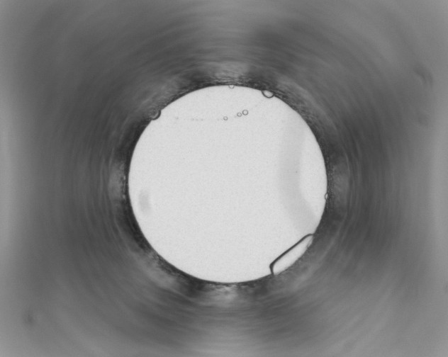 X0000110860083200907301400