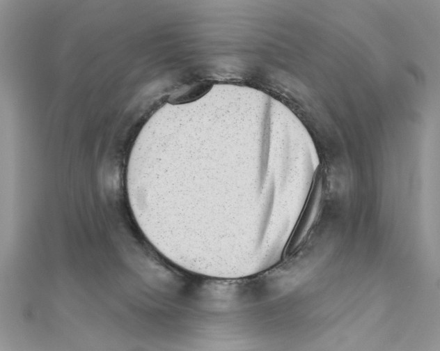 X0000110860084200907301400