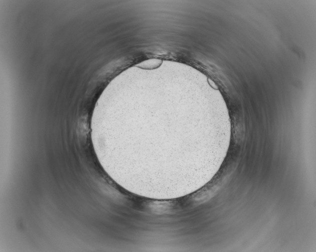 X0000110860085200907301400
