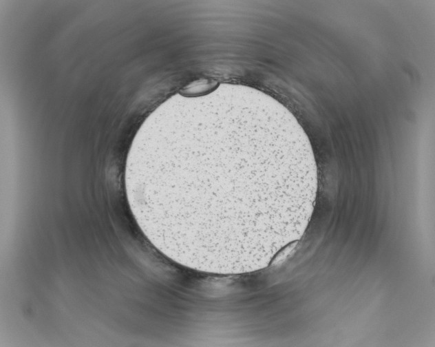 X0000110860086200907301400