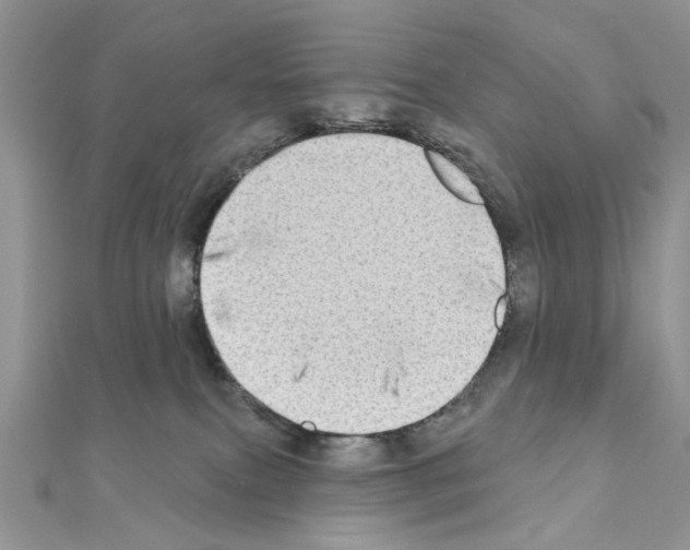 X0000110860087200907301400